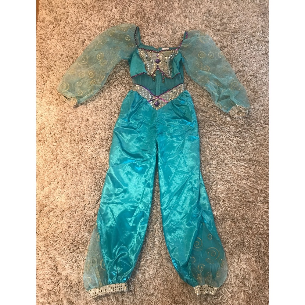 Adult Jasmine Costume from Aladdin (Disney brand)